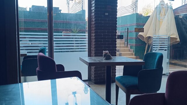 Google Photo 5