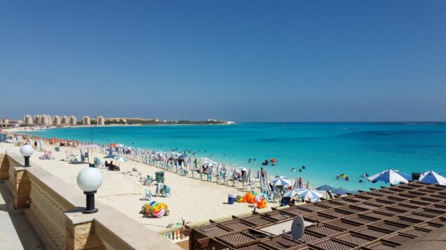 Google Photo 6