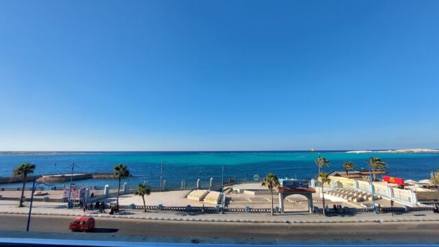 Google Photo 4