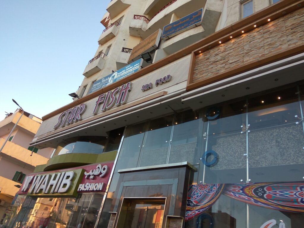 مكنسة فيش