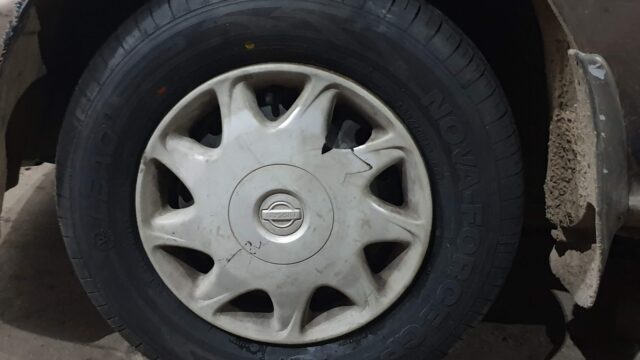 Google Photo 6