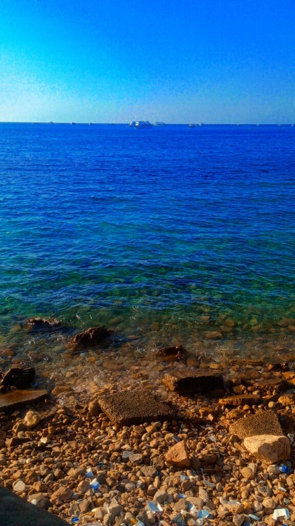Google Photo 6