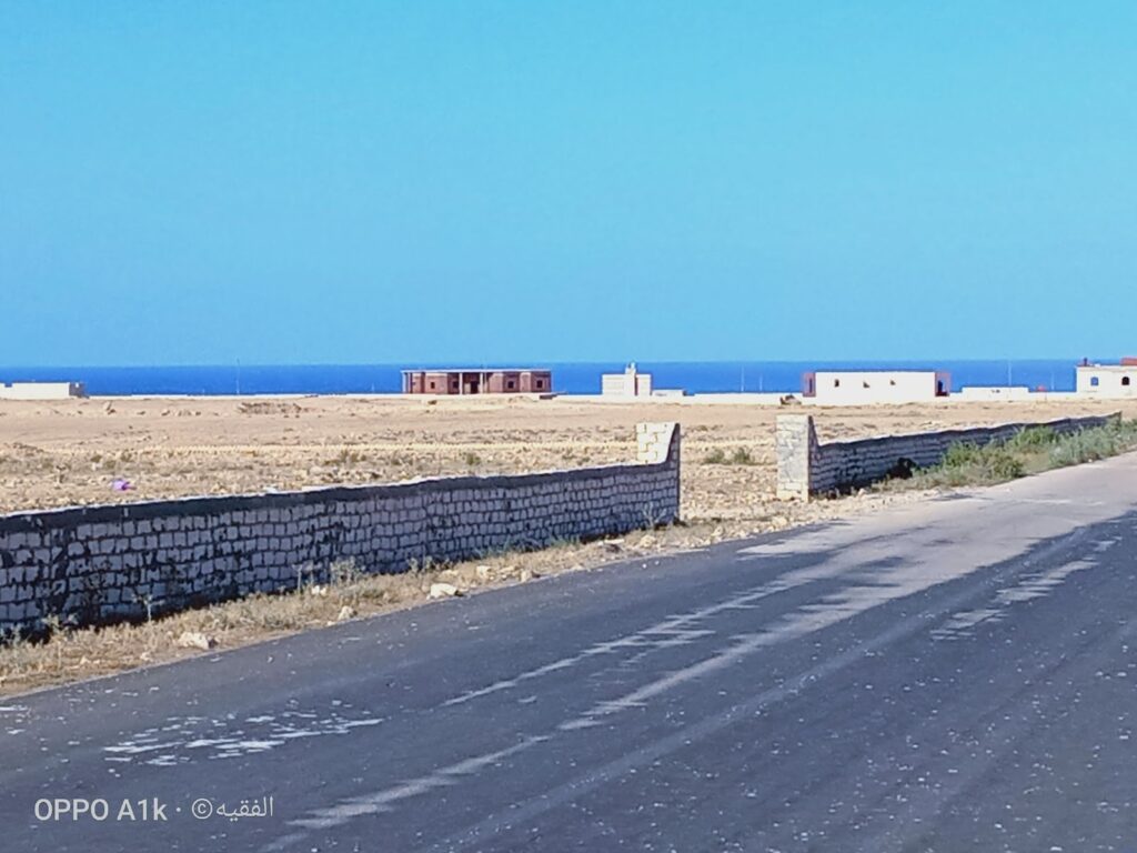 Google Photo 4