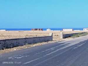 الصورة 4