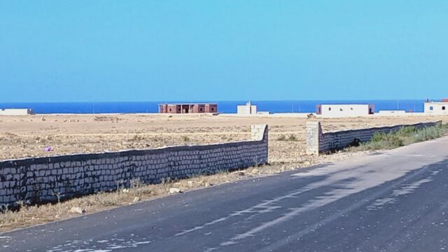 Google Photo 4
