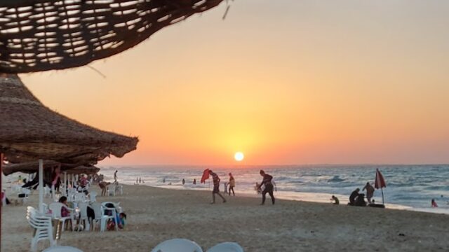 Google Photo 4