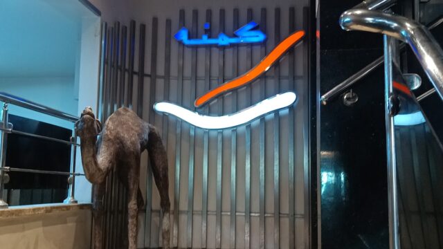 Google Photo 6