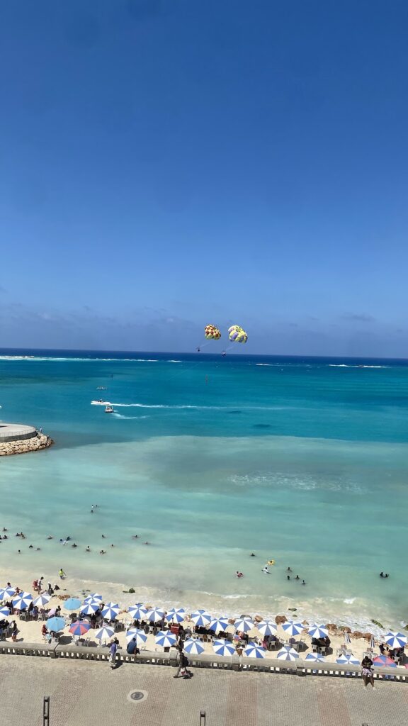 Google Photo 7
