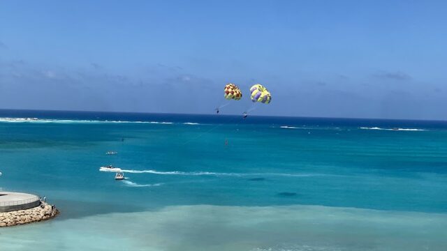 Google Photo 7