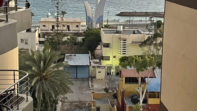 Google Photo 9