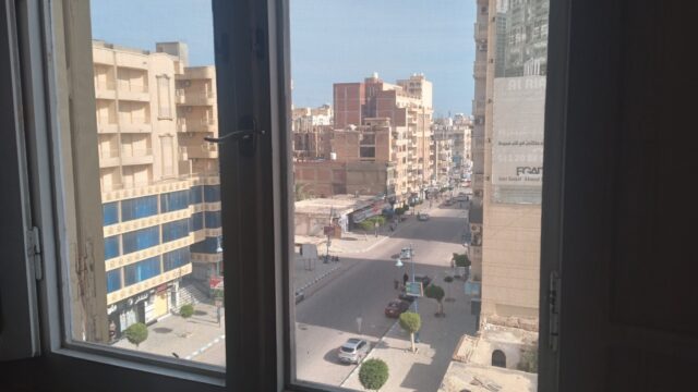 Google Photo 8