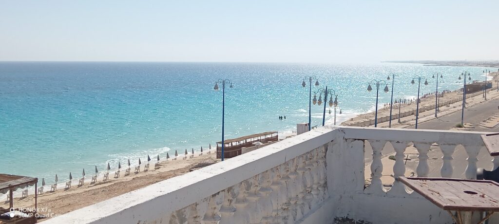Google Photo 9