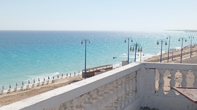 Google Photo 9