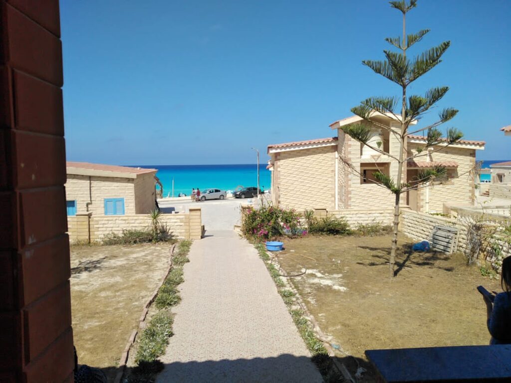 Google Photo 5