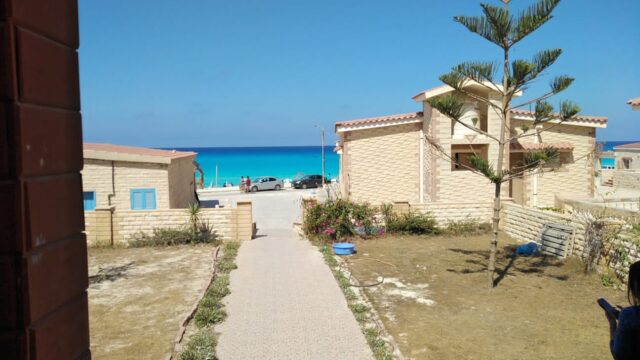 Google Photo 5