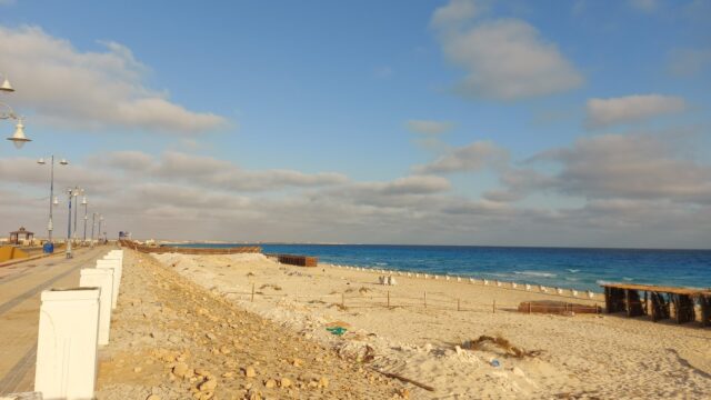 Google Photo 10