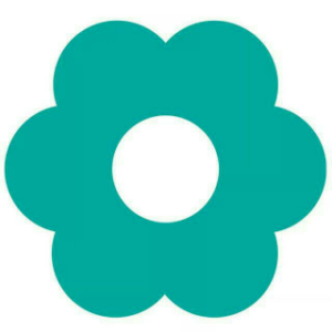 الصورة 3