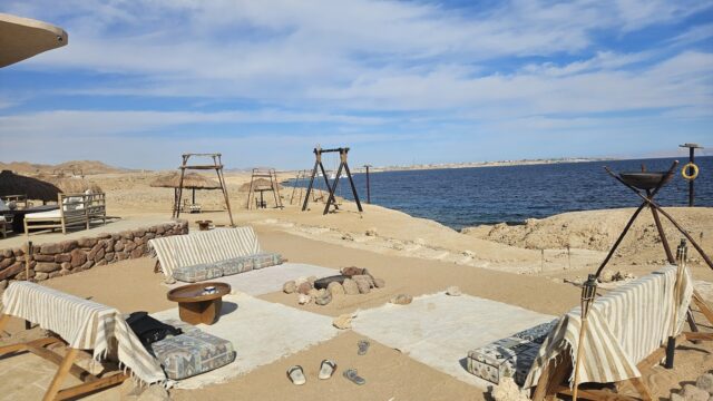Google Photo 3