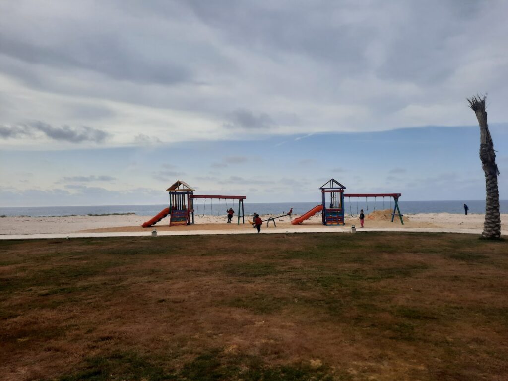 Google Photo 9