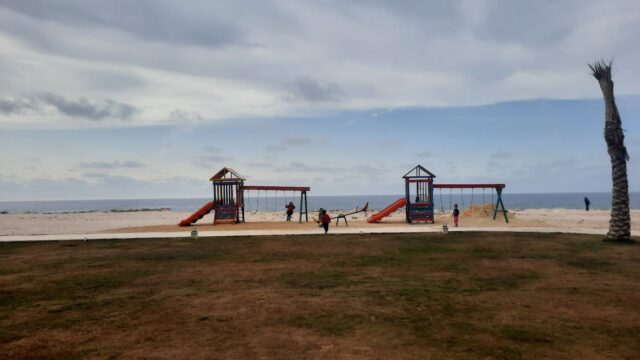 Google Photo 9