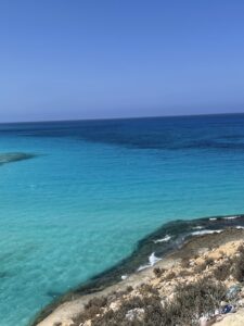 الصورة 10