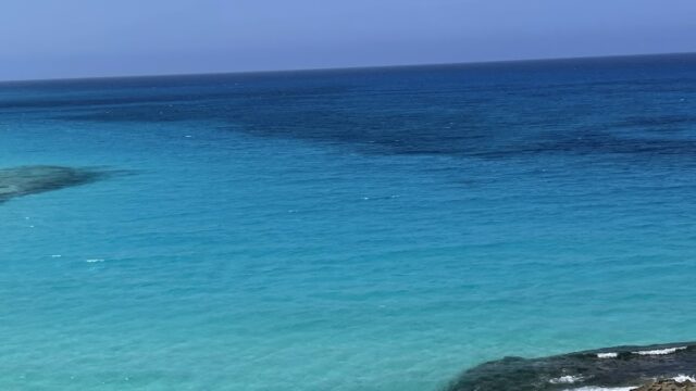 Google Photo 10