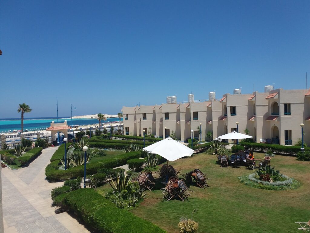 Google Photo 5