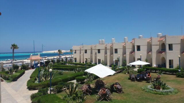 Google Photo 5