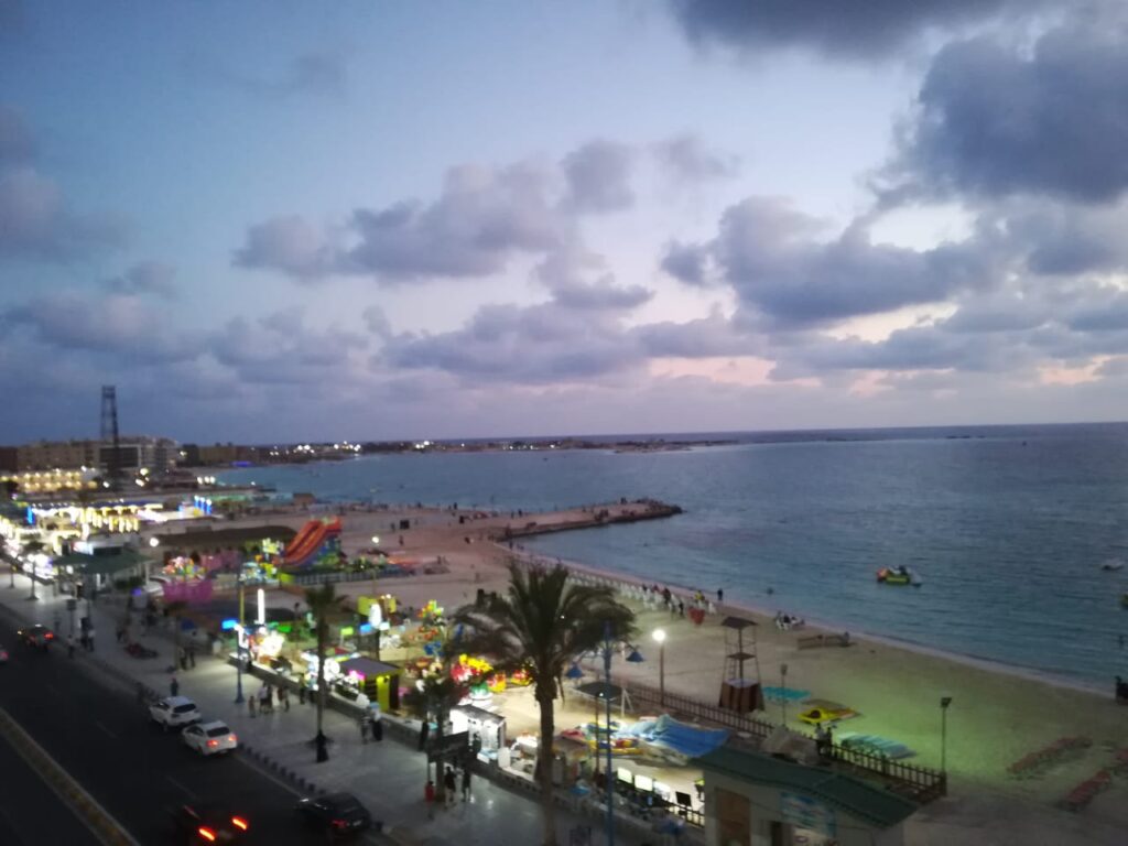 Google Photo 7