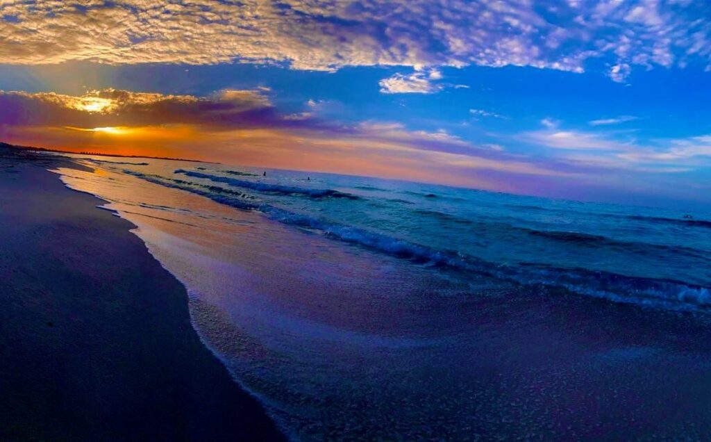 Google Photo 4