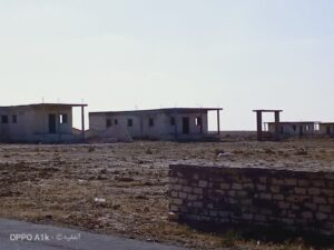 الصورة 2