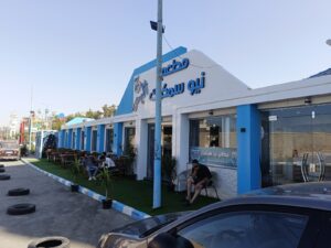 الصورة 3