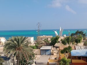 الصورة 1