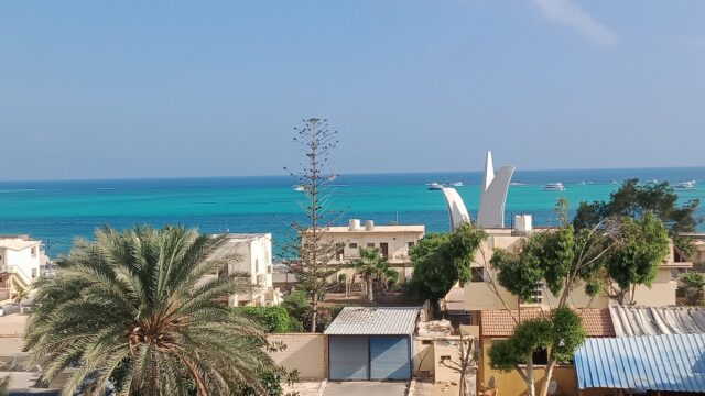 Google Photo 1