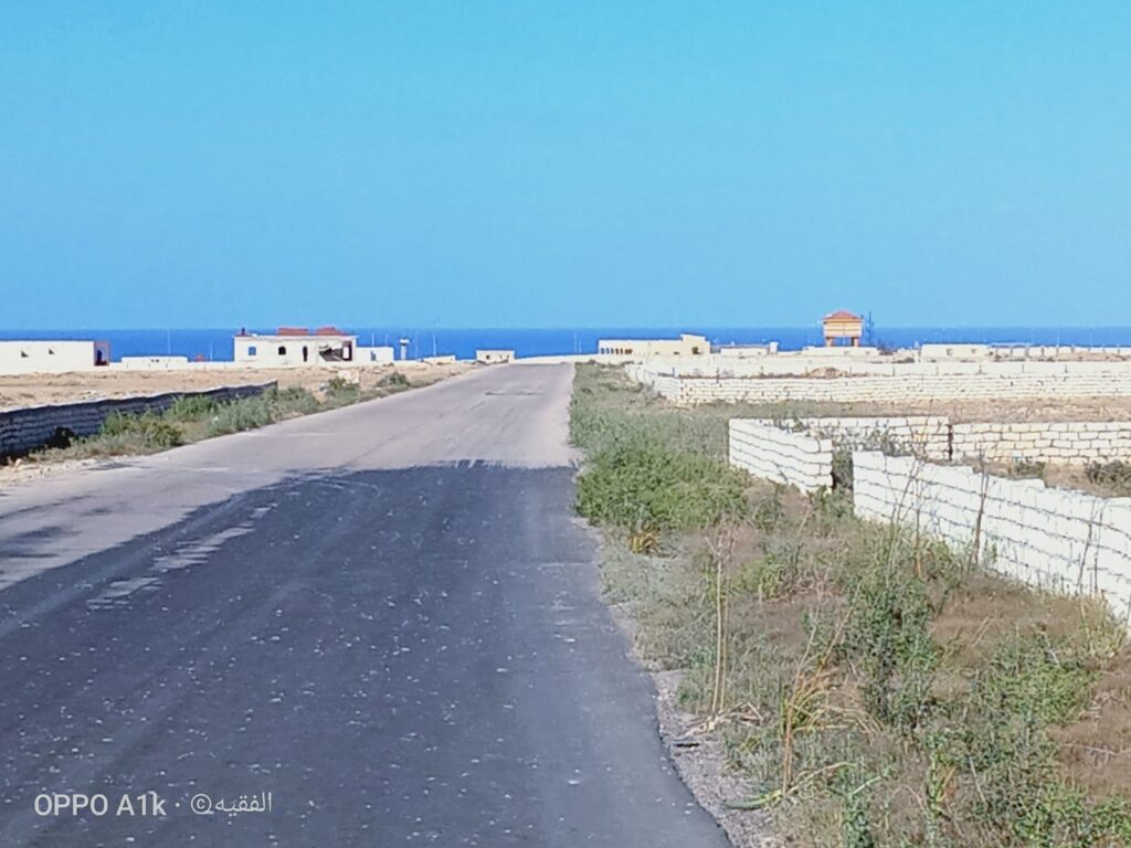 Google Photo 6