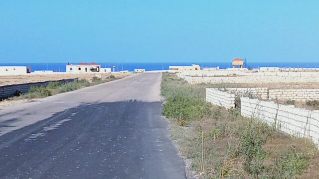 Google Photo 6