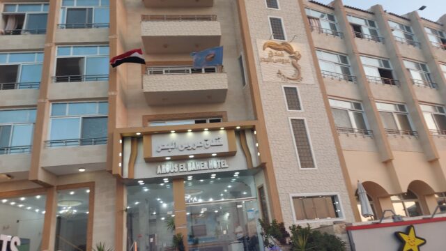 Google Photo 8