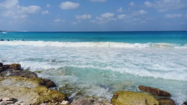 Google Photo 4