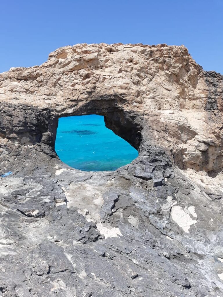 Google Photo 9