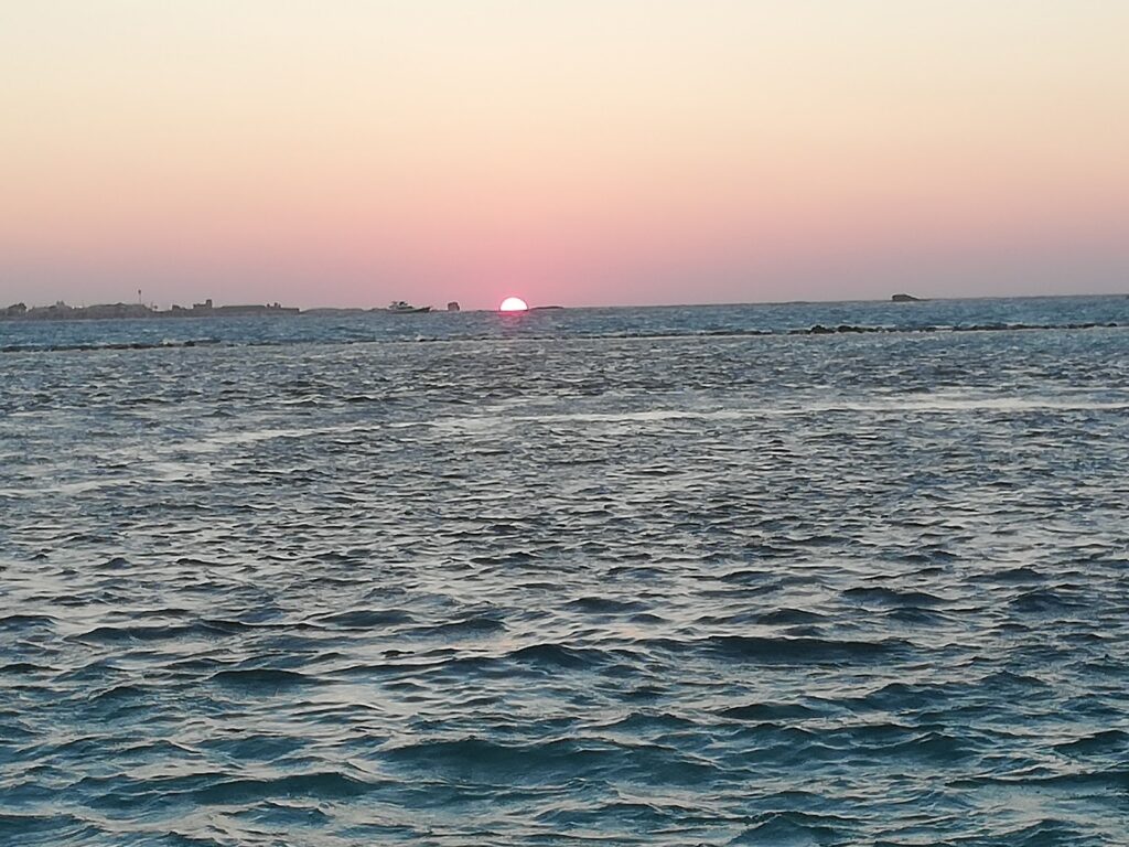 Google Photo 9
