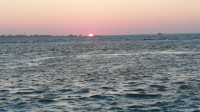 Google Photo 9