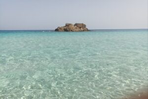 الصورة 1