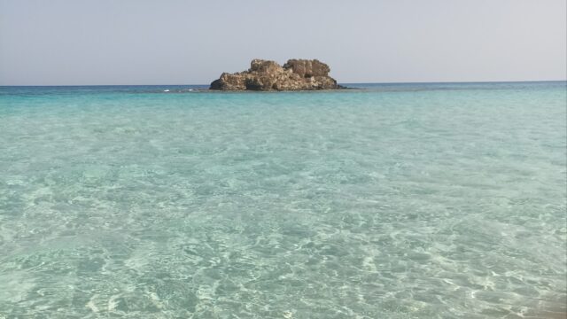 Google Photo 1