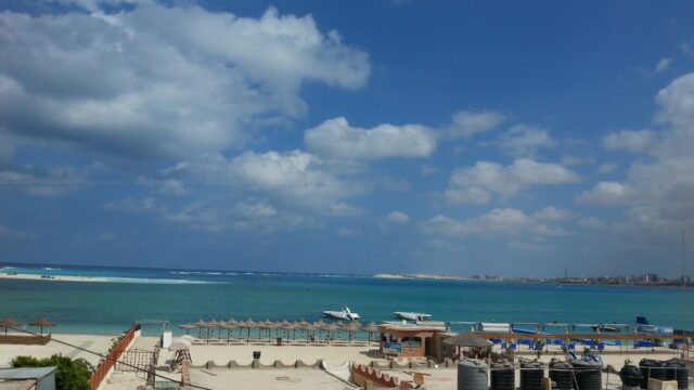 Google Photo 6