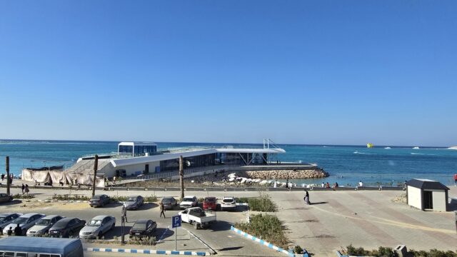 Google Photo 9