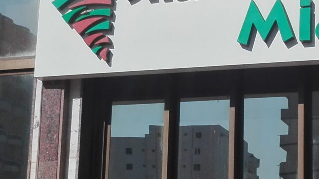 Google Photo 9