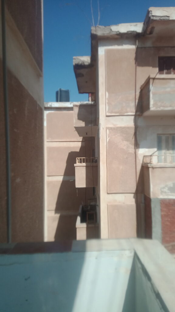 Google Photo 4