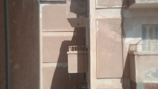 Google Photo 4