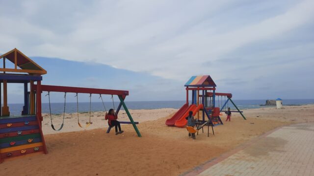 Google Photo 1