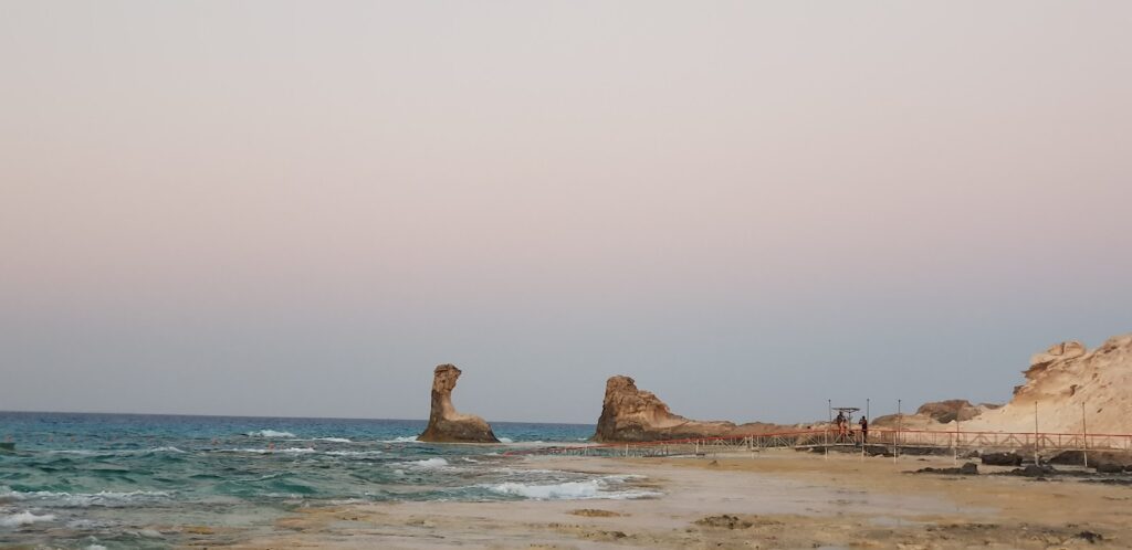 Google Photo 7
